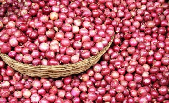 Berapa Harga Bawang Merah Terbaru Bulan Ini