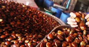 Update Harga Jengkol Bulan Ini