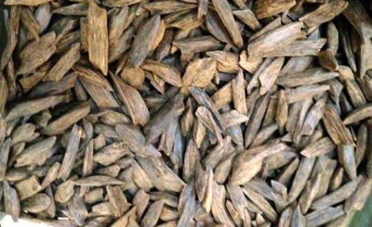 Berapa Harga Kayu Gaharu per Kg Terbaru Bulan Ini