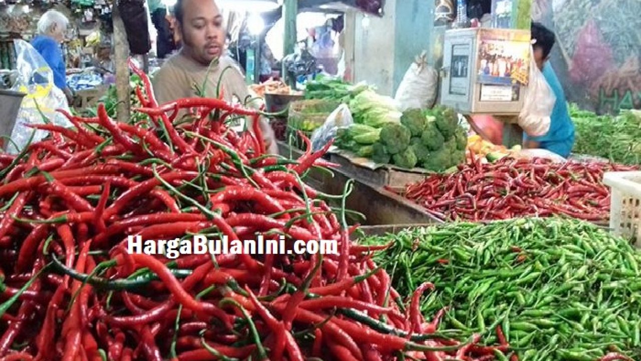 Daftar Harga Cabe Per Kg Terbaru November 2021 Hargabulanini Com