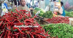 Daftar Harga Cabe per Kg Terbaru