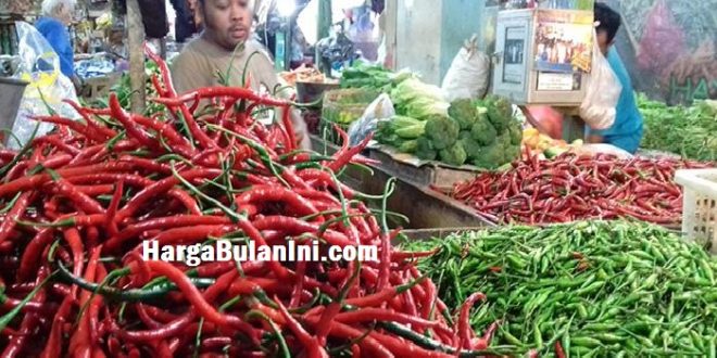 Daftar Harga Cabe per Kg Terbaru