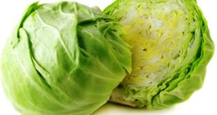 Daftar Harga Kol Per KG Terbaru