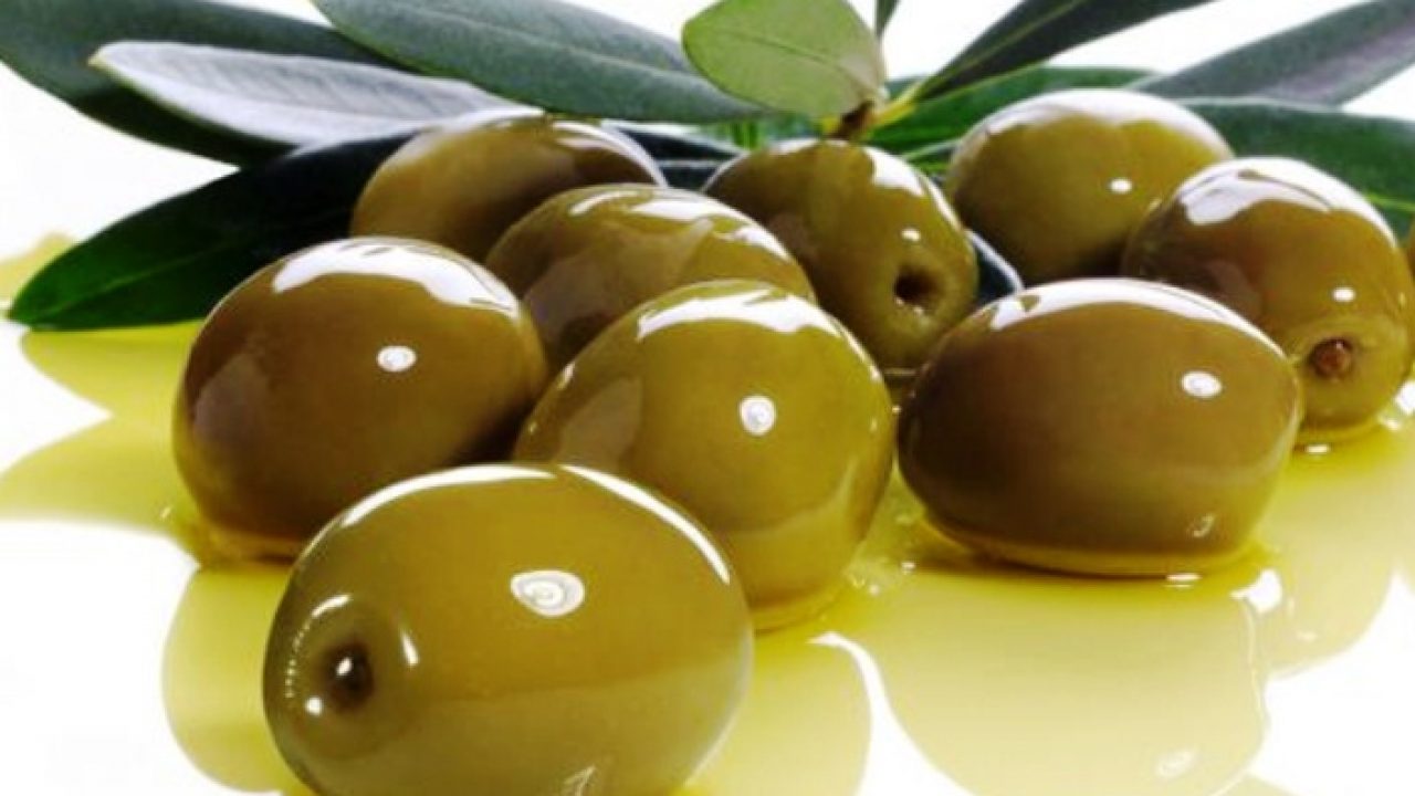 Harga Zaitun Per Kg Terbaru Agustus 2021 Hargabulanini Com