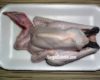 Harga Ayam Kampung Terbaru Per Hari Ini, Daging Segar Hidup dan Potong