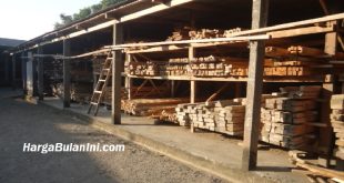 Harga Kayu Terbaru, Daftar Price List Saat Ini
