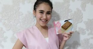 Harga Kuenya Ayu (Kue Ayu Ting Ting) Terbaru