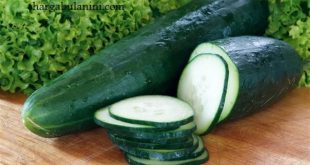 Harga Timun Jepang per Kg Terbaru