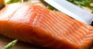 Update Daftar Harga Ikan Salmon per KG Terbaru
