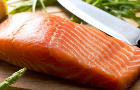 Update Daftar Harga Ikan Salmon per KG Terbaru
