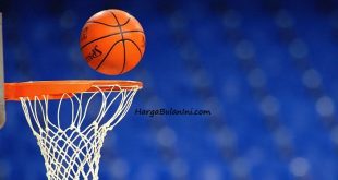 Update Daftar Harga Ring Basket Terbaru Bulan Ini