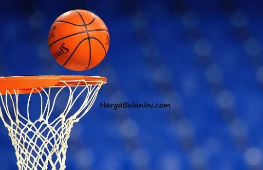 Update Daftar Harga Ring Basket Terbaru Bulan Ini