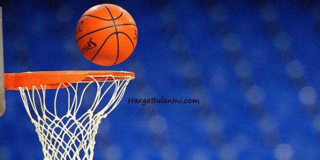 Update Daftar Harga Ring Basket Terbaru Bulan Ini