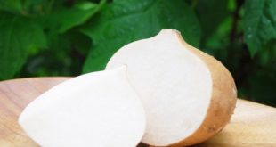 Update Harga Buah Bengkuang Per Kg Terbaru Bulan Ini