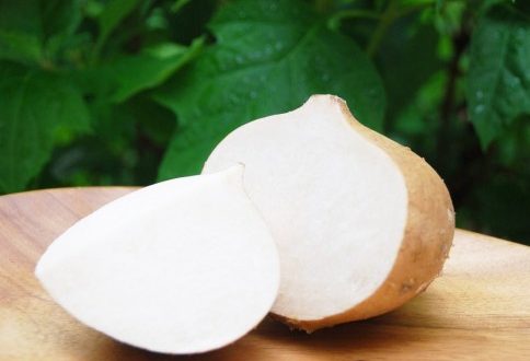 Update Harga Buah Bengkuang Per Kg Terbaru Bulan Ini