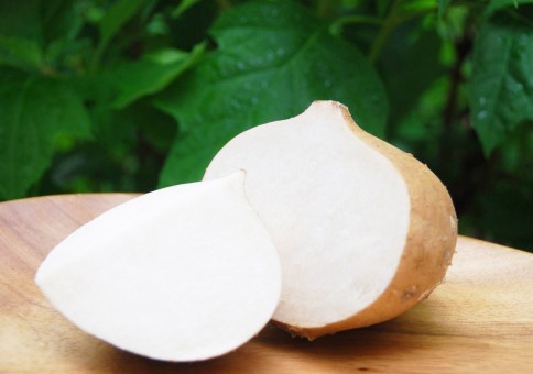 Update Harga Buah Bengkuang Per Kg Terbaru Bulan Ini