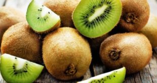 Update Harga Buah Kiwi Per Kg Terbaru Bulan Ini
