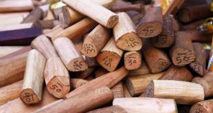 Update Harga Kayu Cendana Terbaru Bulan Ini