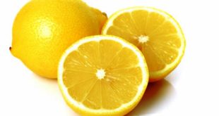 Update Harga Lemon Per Kg Terbaru Bulan Ini