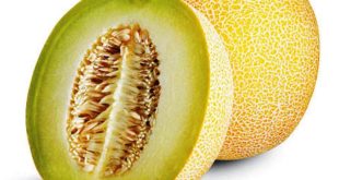 Update Harga Melon Terbaru Minggu Ini