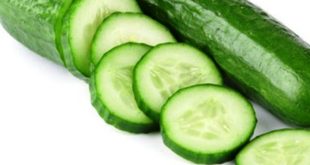 Update Harga Mentimun Per Kg Terbaru