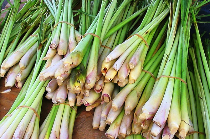 ️ Harga Serai Wangi per Kg Terbaru April 2024 | HargaBulanIni.com