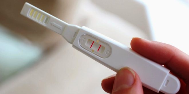Daftar Harga Test Pack Kehamilan Terbaru Bulan Ini