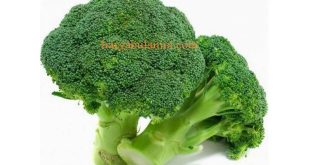 Harga Brokoli Per Kg Terbaru