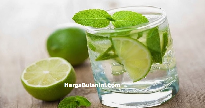 Harga Jeruk Lemon Lokal Saat Ini Terbaru