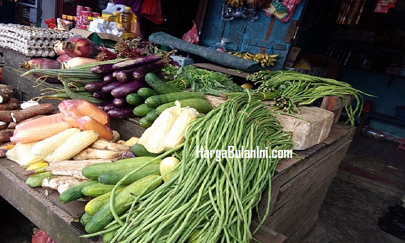 Harga sayuran hari ini