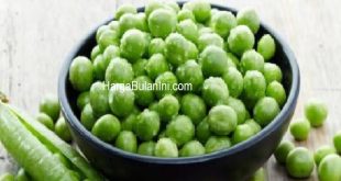 Harga Kacang Polong Terbaru