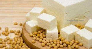 Harga Kedelai Impor Per Kilogram Terbaru