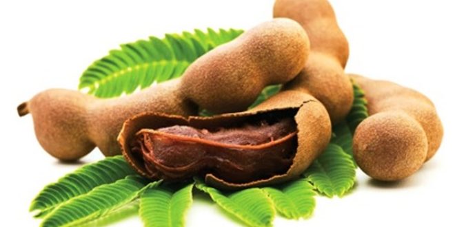 Update Harga Asam Jawa Per Kg Terbaru Bulan Ini