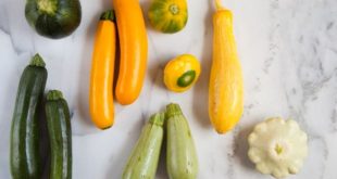 Update Harga Zukini Per Kg Terbaru Bulan Ini