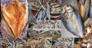 Harga Ikan Asin Per Kg Terbaru