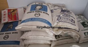 Harga Pakan Ayam Terbaru
