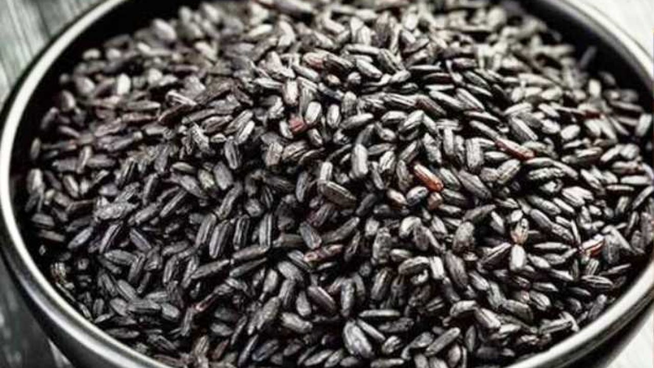 Harga Beras Hitam Per Kg Terbaru Juni 2021 Hargabulanini 