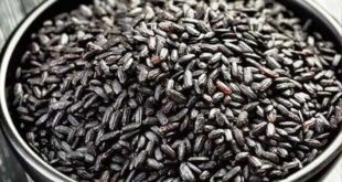 Harga Beras Hitam Per Kg Terbaru Bulan