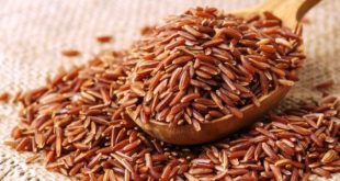 Harga Beras Merah Per Kilo Terbaru Bulan Ini