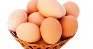 harga telur ayam terbaru bulan ini