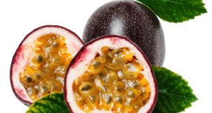 Harga Buah Markisa Terbaru Bulan Ini