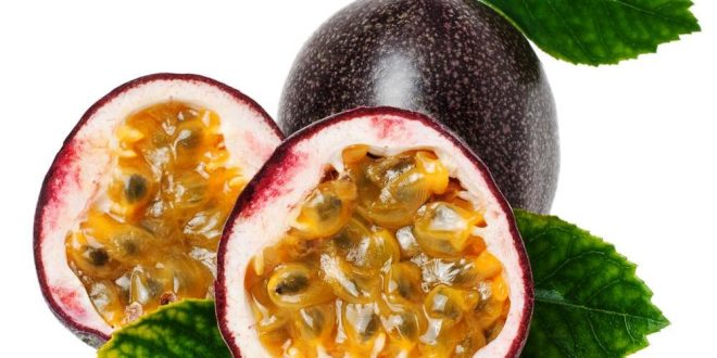 Harga Buah Markisa Terbaru Bulan Ini