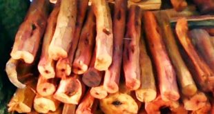 Harga Kayu Secang Per Kilo Terbaru