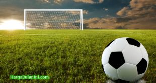 Daftar Harga Bola Sepak Teranyar