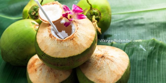 Harga Kelapa Muda Saat Ini, Buah Biji yang Menyegarkan Setiap Waktu