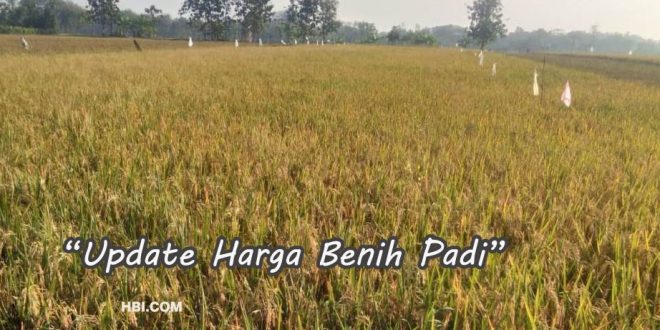 List Harga Benih Padi Terkini