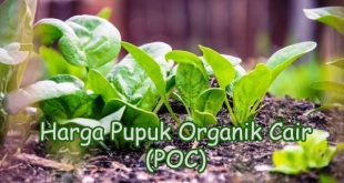Price List Pupuk Organik Cair (POC)