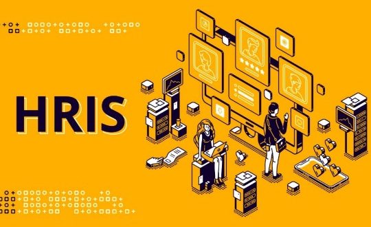 Fungsi Software HRIS Indonesia untuk Perusahaan Startup