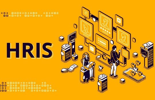 Fungsi Software HRIS Indonesia untuk Perusahaan Startup