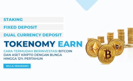 Mengenal Tokenomy Platform Investasi Aset Kripto